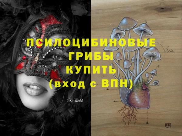 не бодяженный Алзамай